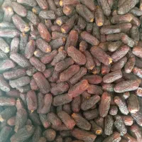 خرمایی درجه یک 1تن نیم و خرمایی درجه دو2تن