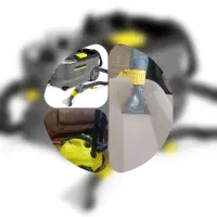 مبلشویی و بخارشوی