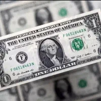 باگوشیت پولم دربیار