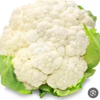 کلم تازه فردا برای فروش دارم