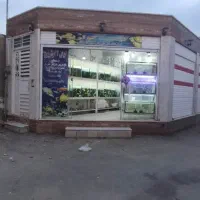 فروش مغازه فول ۴۷ متر درچه|فروش مغازه و غرفه|خمینی‌شهر, |دیوار