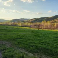 باغ در جاده نران