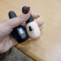 ژل لاک|آرایشی، بهداشتی، درمانی|مشهد, دانشجو|دیوار