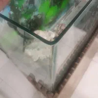 آکواریوم شیشه خم|ماهی|اصفهان, شهرک کاوه|دیوار