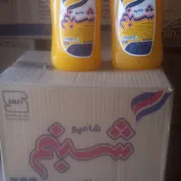 شامپوشبنم ۱۰۰۰ کرمی
