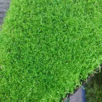 چمن مصنوعی ارزون