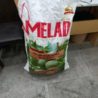 گردو میلاد درجه یک