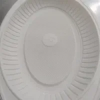 دیس یکبار مصرف گیاهی آملون فروش ویژه .قیمت عالی