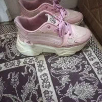 کفش|کیف، کفش، کمربند|گنبد کاووس, |دیوار