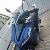 توسن رادیات دار