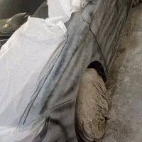 همکار صافکار شراکت در مغازه