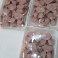 ماهی جنوب بندر ماهشهر
