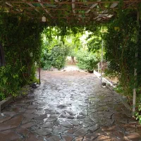 دماوند وادان باغ ۴۵۰متری سند تک برگ