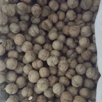 گردوی پر چرب و خوشمزه|خوردنی و آشامیدنی|میانه, |دیوار