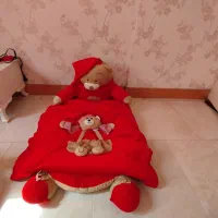 تشک خرسی نونو