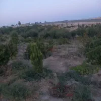 باغچه-1000-متری
