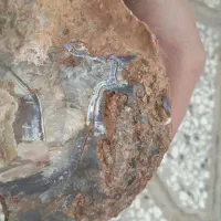 سنگ های قیمتی و تزیینی|کلکسیون اشیاء عتیقه|بیرجند, |دیوار