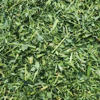 فروش سبزی خشک و تازه|خوردنی و آشامیدنی|شیراز, شاهچراغ|دیوار