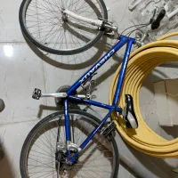 دوچرخه حرفه ای