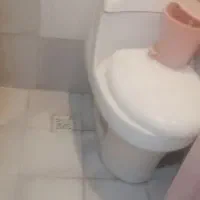 توالت فرهنگی