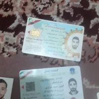پیدا شده،سید احمد رضا خردمند و آبتین ضیا عزیزی