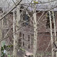 ویلا-چوبی-سرمایه-ای-پایدار