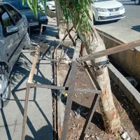 طبق میوه فروشی|فروشگاه و مغازه|قم, حنیف نژاد|دیوار