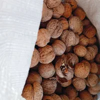 گردو