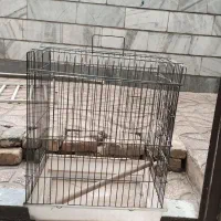 قفسه پرنده|لوازم جانبی حیوانات|مشکین‌دشت, |دیوار