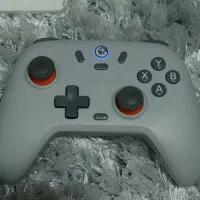 دسته بازی گیمسر Gamesir مدل T4N Lite|کنسول، بازی ویدئویی و آنلاین|شهریار, شهریار|دیوار