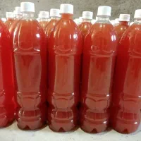 شیره انگور، آبغوره و غوره شور فروشی|خوردنی و آشامیدنی|کاشمر, |دیوار