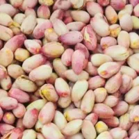 پسته دستچین اعلا رسیده خندان بدون پوک ودهن بست