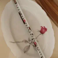 چینی مسعود|ظروف سرو و پذیرایی|تبریز, |دیوار