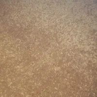 دوتاموکت باهم یکی پالاز یکی ساده|موکت|گرگان, |دیوار
