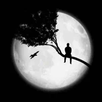 فرار از تنهایی