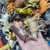 حیوانات اهلی و وحشی ۸۵ مدل گونه های مختلف|اسباب‌‌بازی|بیرجند, |دیوار