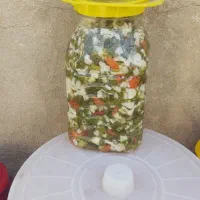 ترشی|عمده‌فروشی|نقده, |دیوار