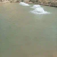 پرورش ماهی وزمین زراعی