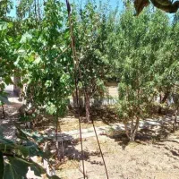 خانه-ویلایی-در-شهر-جدید-امیر-کبیر