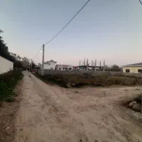 فروش زمین سلیم آباد تنکابن|فروش زمین و ملک کلنگی|تنکابن, |دیوار