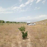 باغ ۹۰۰۰هزار متر|فروش زمین و ملک کلنگی|نیر (اردبیل), |دیوار