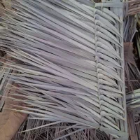 جارو|جاروبرقی، جارو شارژی، بخارشو|رامشیر, |دیوار