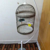 قفس پرنده