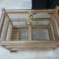 قفس|لوازم جانبی حیوانات|همدان, |دیوار