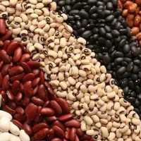 عرضه لوبیا سراب به مقدار دلخواه شما  ***