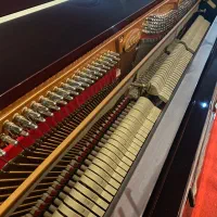 شکوه نوازندگی