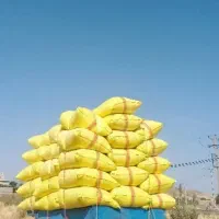 کاه گندم