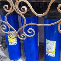 اکواریوم و ماهی