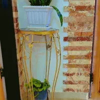 میز کنار سالنی