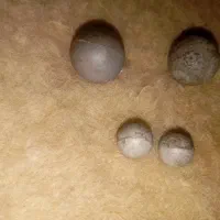 سنگ الماس اسیاب اصل|جواهرات|تهران, چوب تراش|دیوار